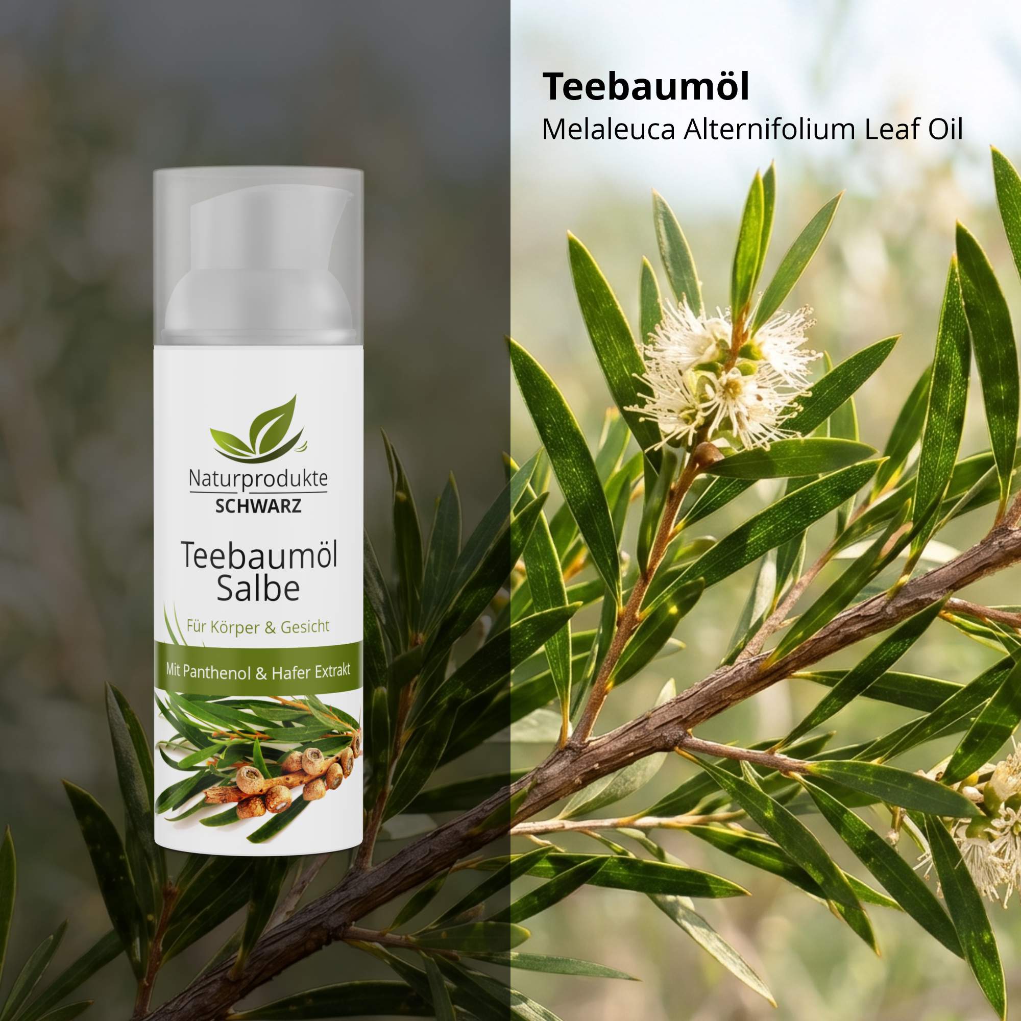 Teebaumölsalbe mit Panthenol und schwarzem Hafer Extrakt