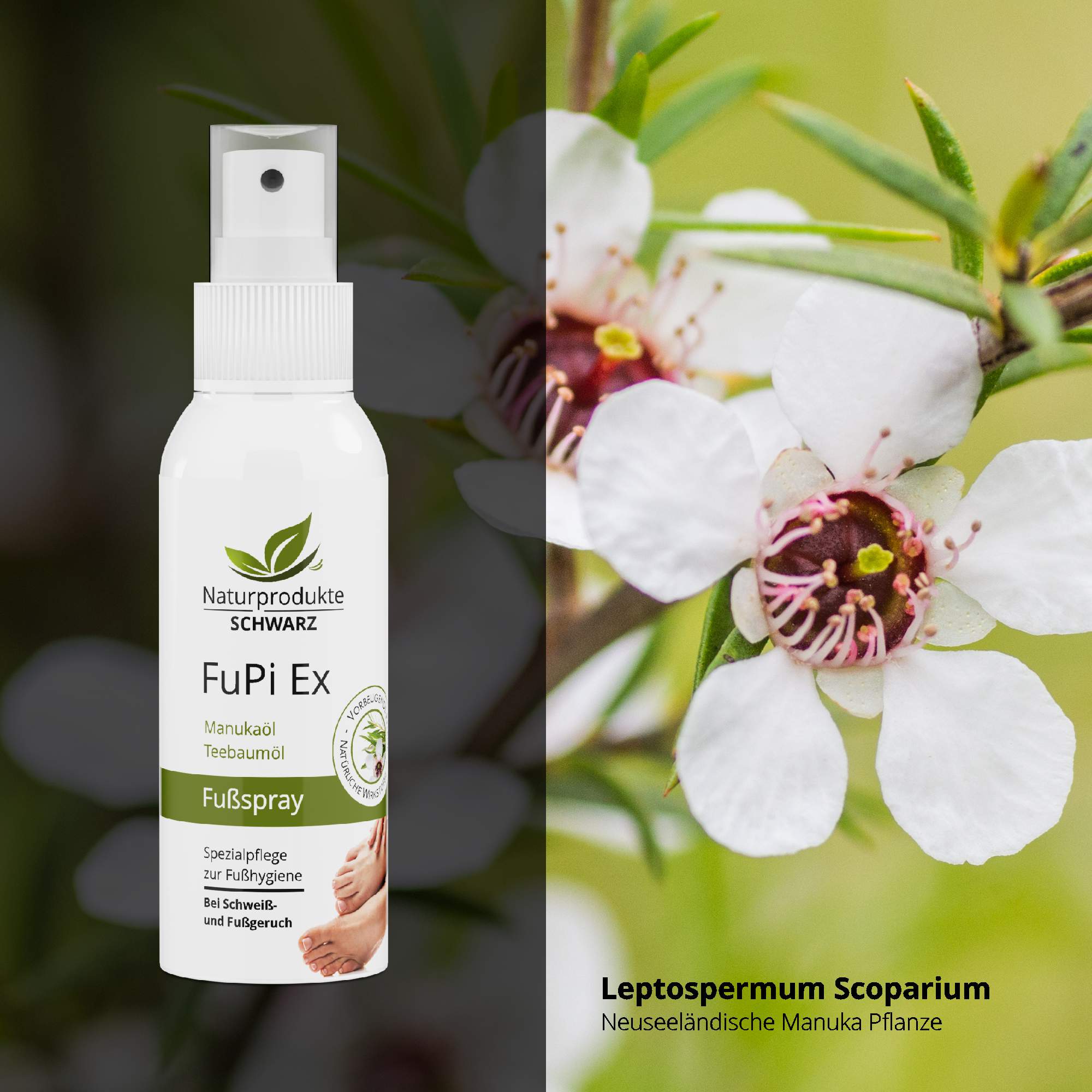 Fußpflege Set bei Fußpilz - FuPi Spray und FuPi Creme, 2-tlg.