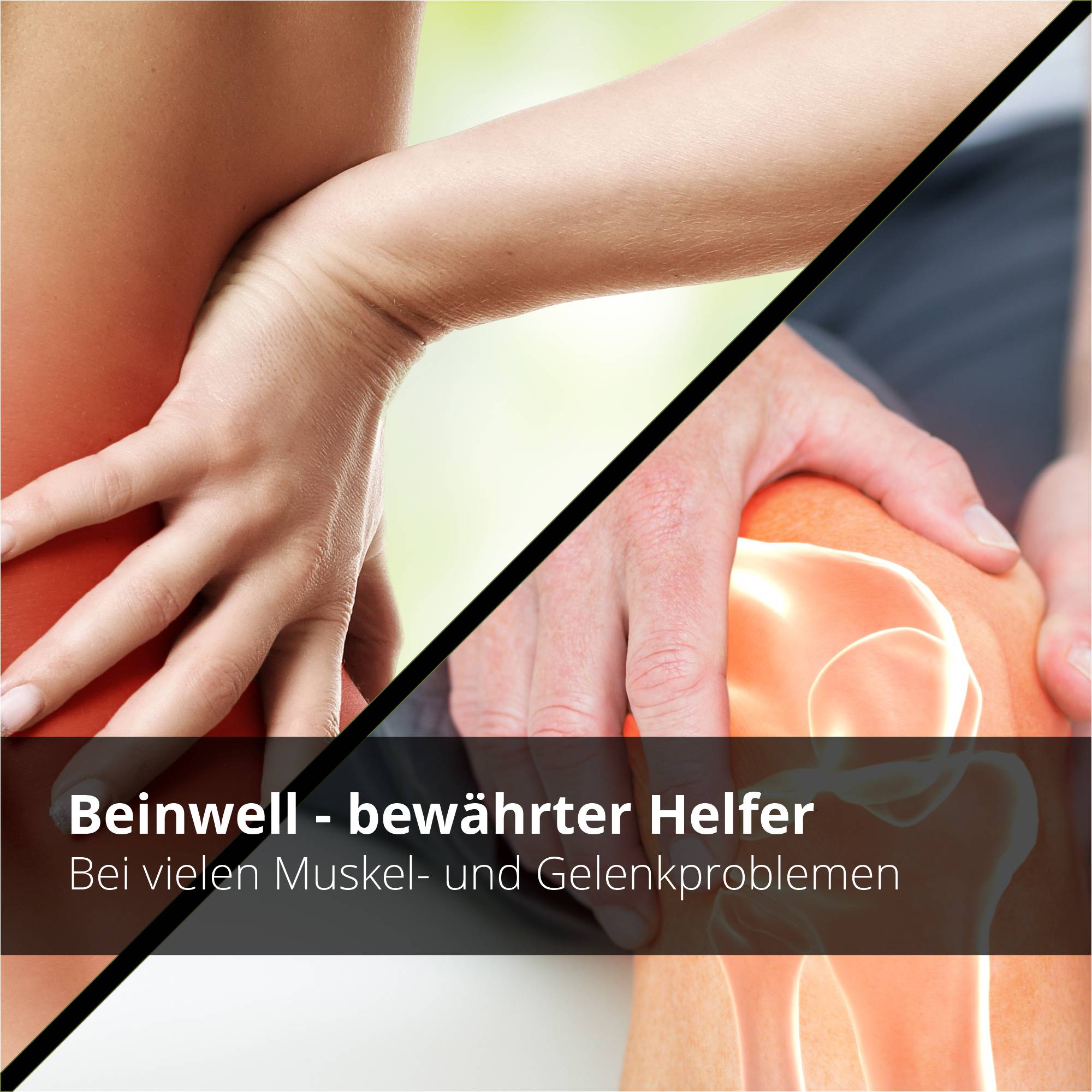 Beinwellsalbe mit Beinwell Wurzelextrakt & Arnika