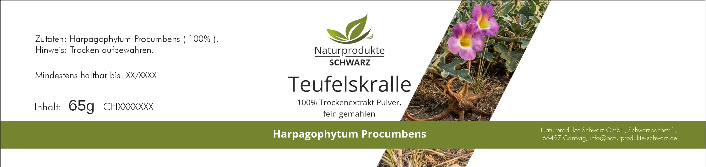 Teufelskralle-Pulver - Harpagophytum procumbens
