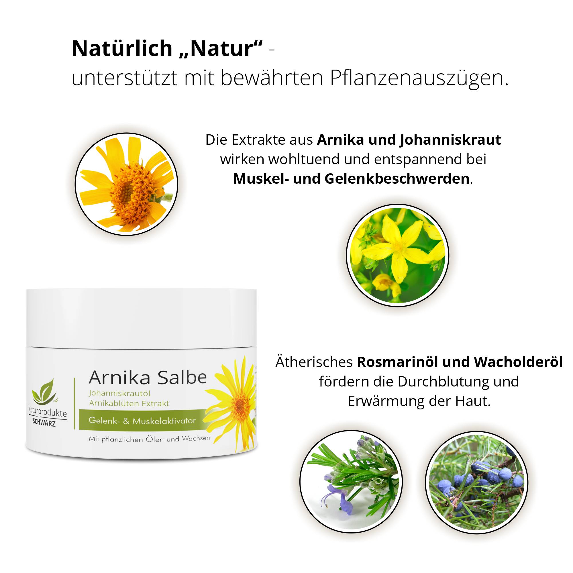 Arnika Salbe - Gelenk- und Muskelaktivator - Ohne Mineralöle