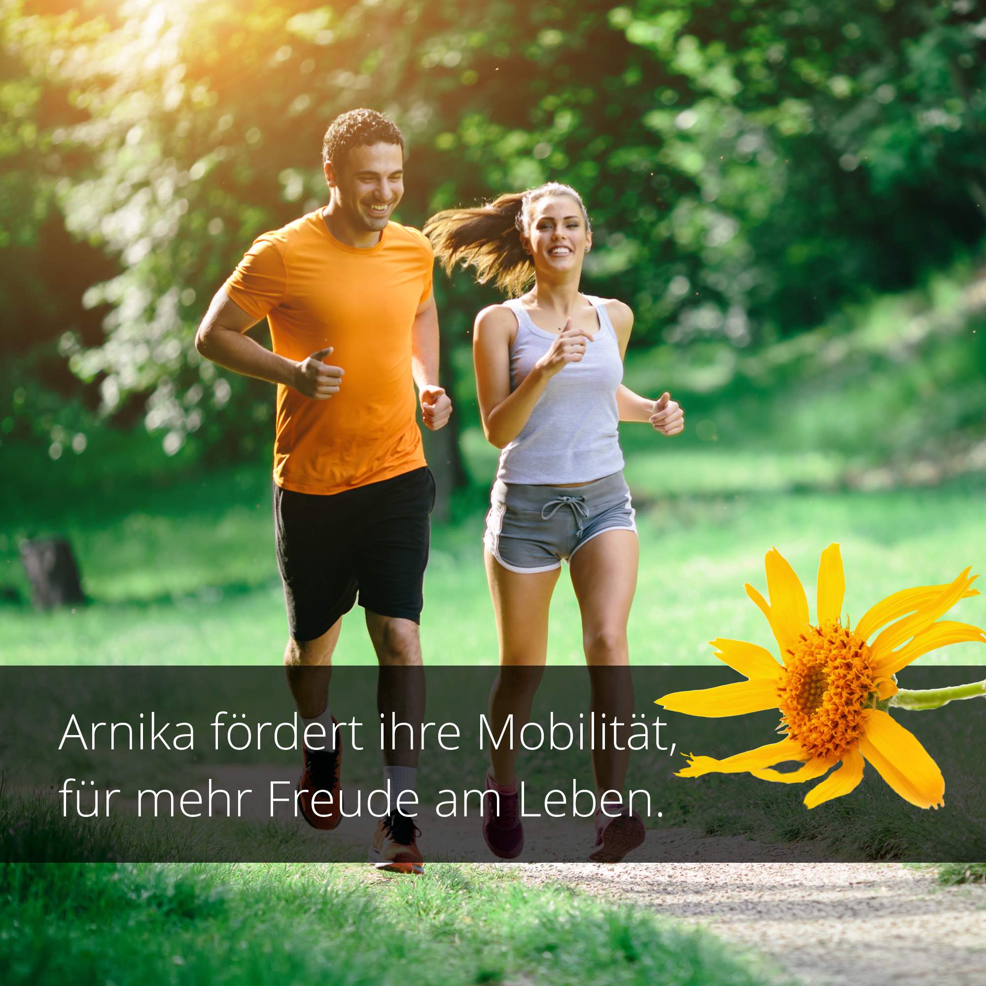 Arnika Salbe - Gelenk- und Muskelaktivator - Ohne Mineralöle