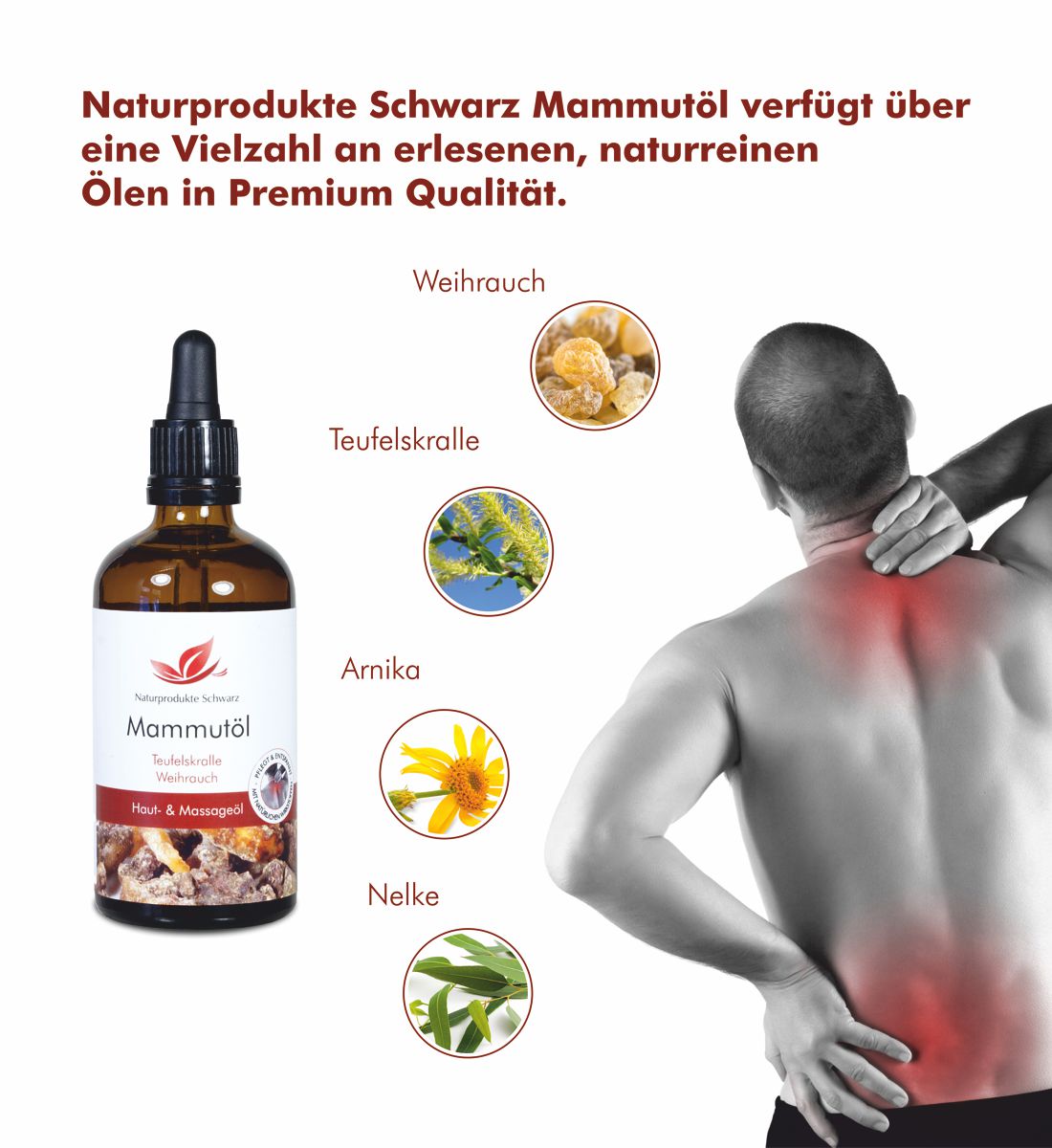 Mammutöl - Kräuteröl mit Teufelskralle und Weihrauch