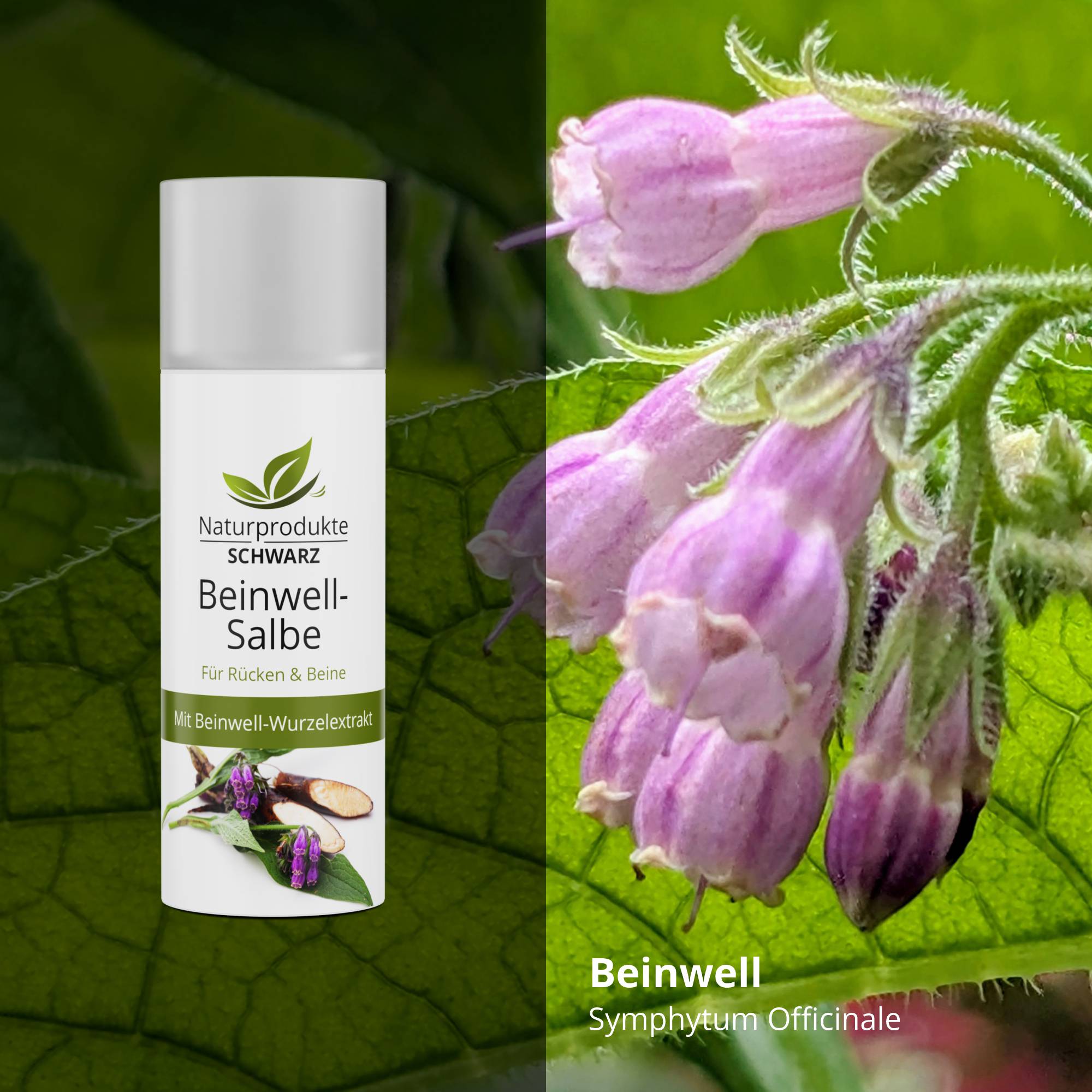Beinwellsalbe mit Beinwell Wurzelextrakt & Arnika