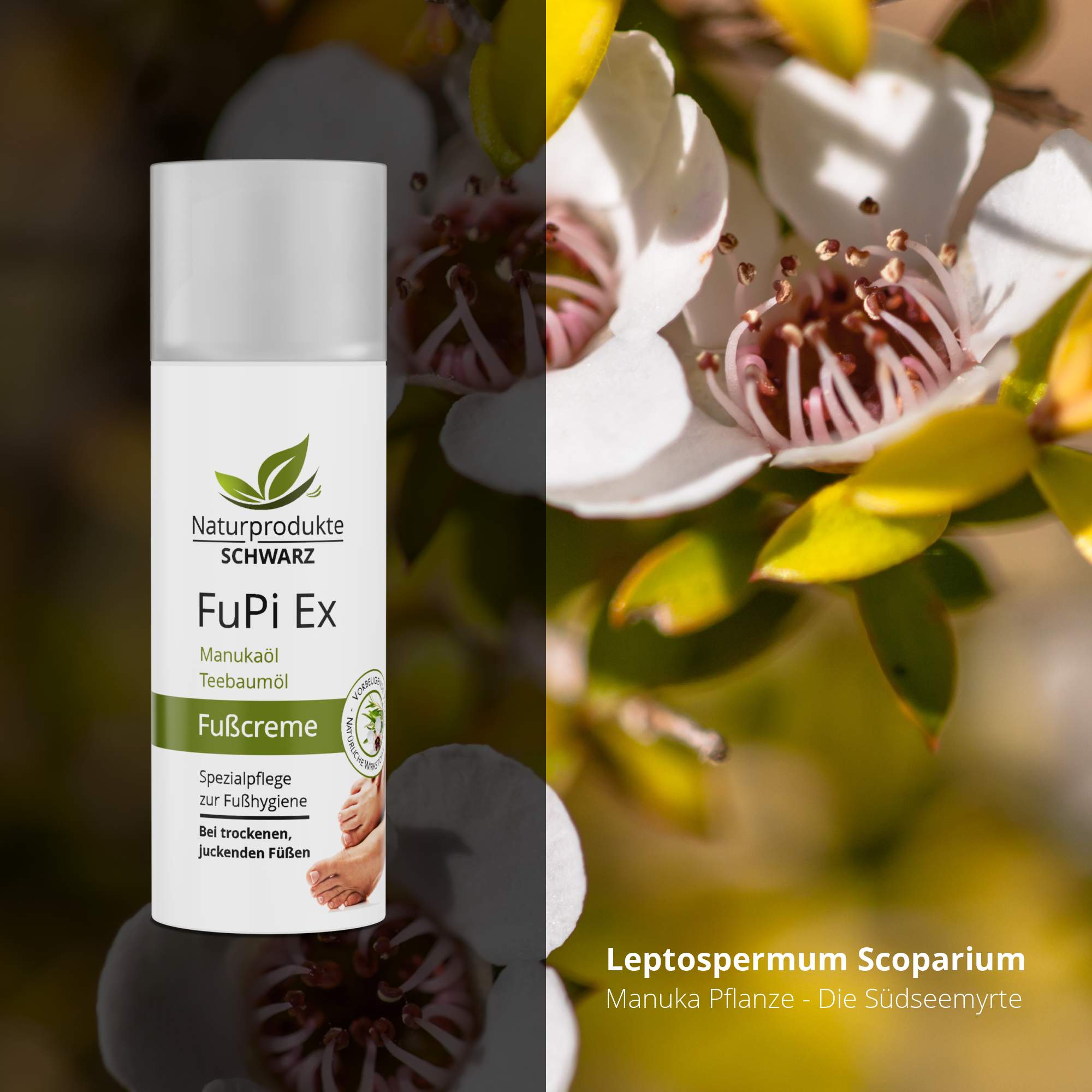 Fußpflege Set bei Fußpilz - FuPi Spray und FuPi Creme, 2-tlg.