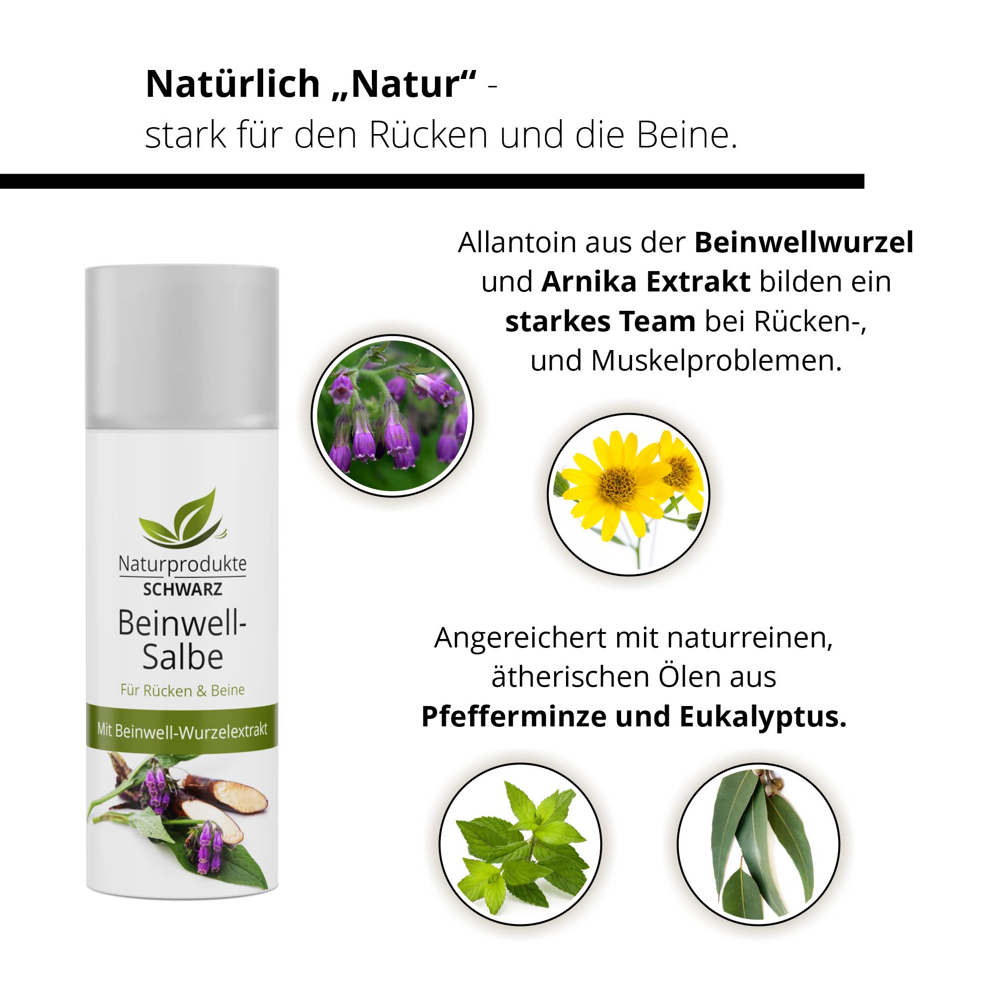 Beinwellsalbe mit Beinwell Wurzelextrakt & Arnika